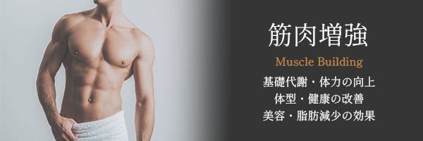 筋肉増強