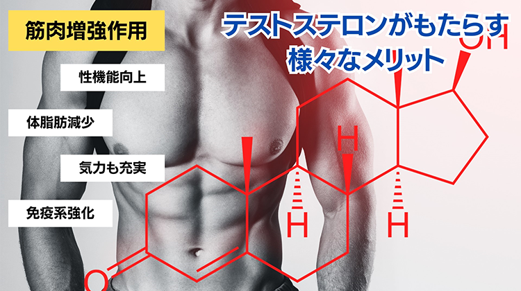 筋肉増強外来