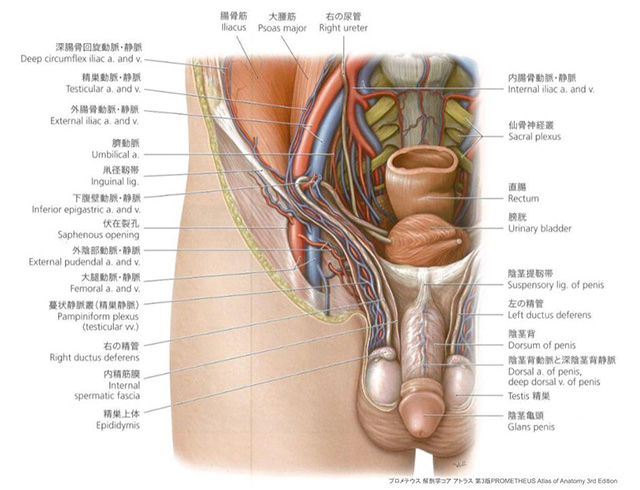 合併症対応とリスク管理