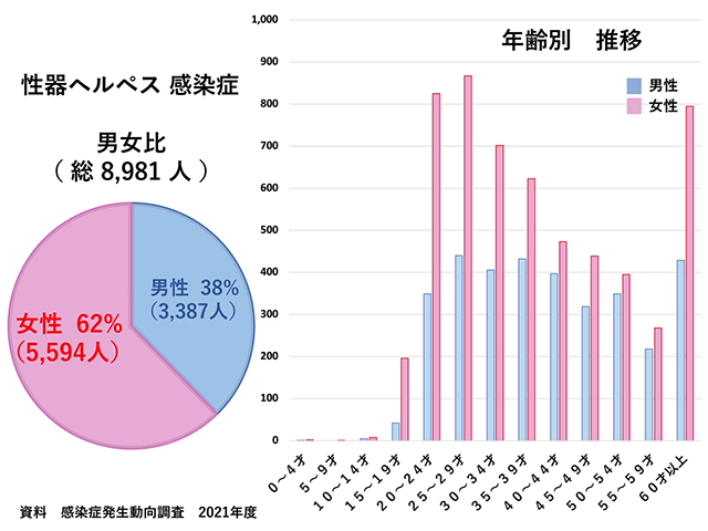 性器ヘルペス感染症グラフ